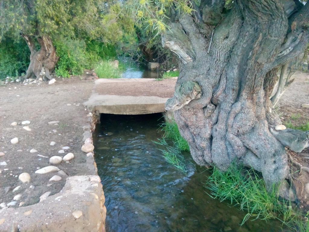 Grysbok Self Catering Accommodation Oudtshoorn Ngoại thất bức ảnh