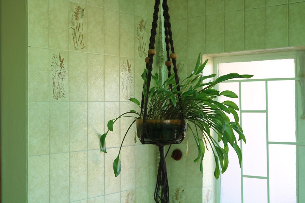 Grysbok Self Catering Accommodation Oudtshoorn Ngoại thất bức ảnh