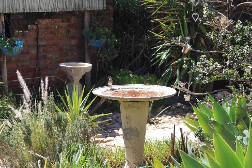 Grysbok Self Catering Accommodation Oudtshoorn Ngoại thất bức ảnh