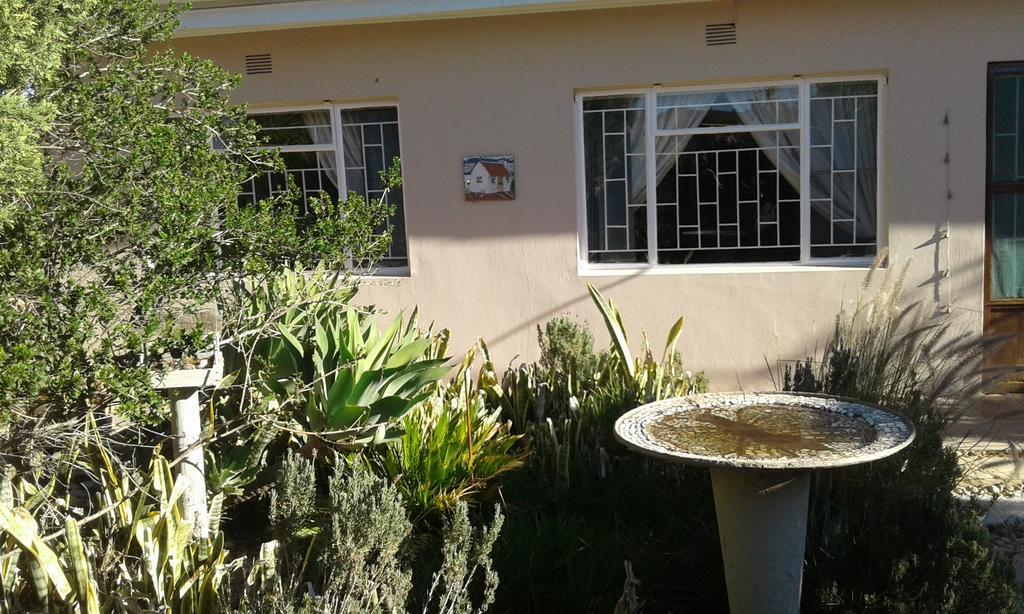 Grysbok Self Catering Accommodation Oudtshoorn Ngoại thất bức ảnh